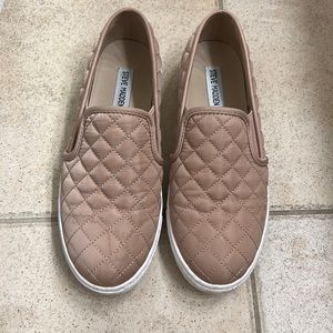 Steve Madden Ecentrcq shoes